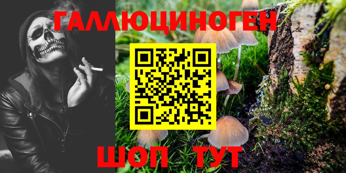 Псилоцибиновые грибы Magic Shrooms  Вход с VPN  цены   Ачинск 