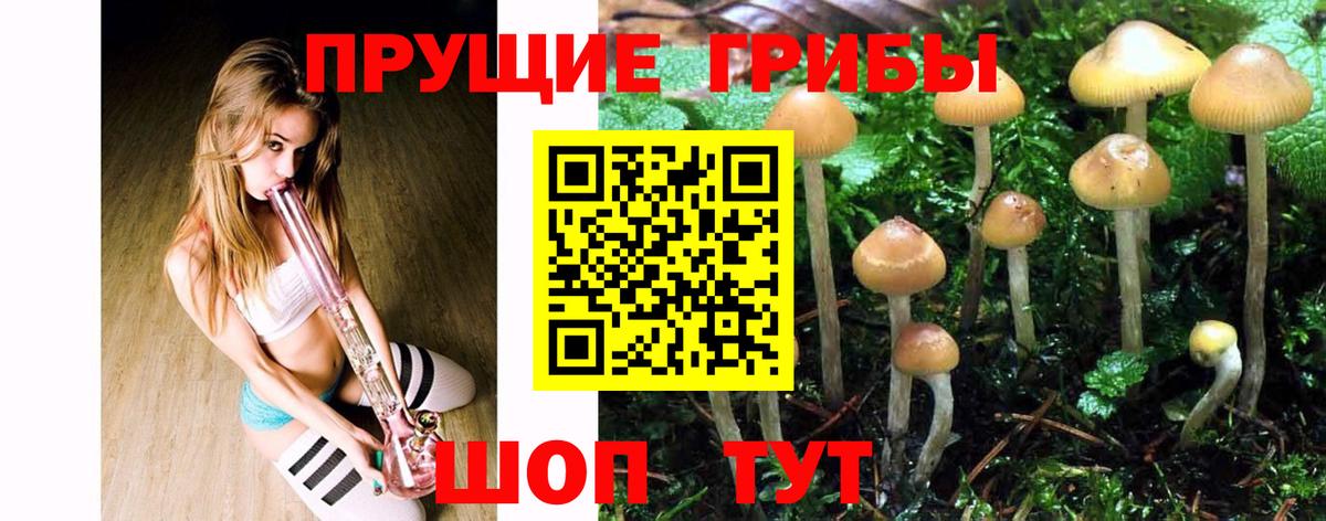 Псилоцибиновые грибы мухоморы Ачинск